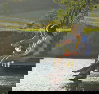 Lovedale - Palm Beach Accommodation