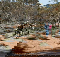 Mallee Stop walking track