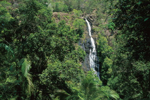 Mapleton Falls National Park - Palm Beach Accommodation 0