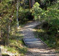 McDirtys Walking Track - Palm Beach Accommodation