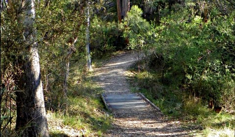McDirtys Walking Track - Palm Beach Accommodation 0