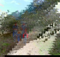 Meningie Lions Walking Trail - Palm Beach Accommodation