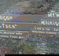 Mount Murga Walking Track - Palm Beach Accommodation
