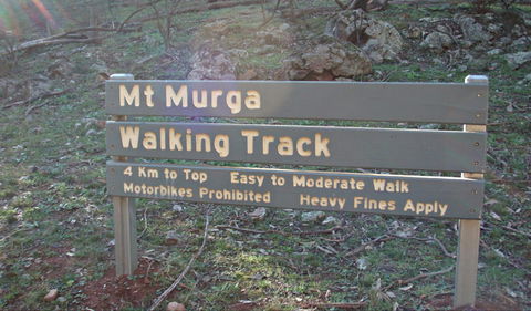 Mount Murga Walking Track - Palm Beach Accommodation 0