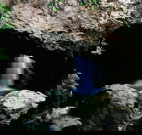 Natural Bridge Circuit Springbrook National Park - Palm Beach Accommodation