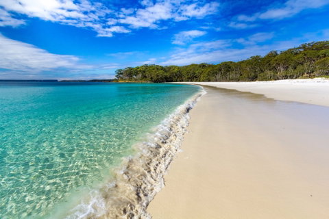 NSW Jervis Bay National Park - Palm Beach Accommodation 0