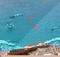 Nullarbor National Park - Palm Beach Accommodation