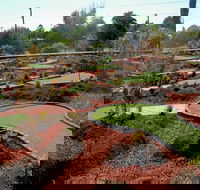 Orange Mini Golf - Palm Beach Accommodation