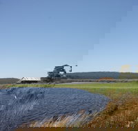 Panboola Wetlands - Palm Beach Accommodation