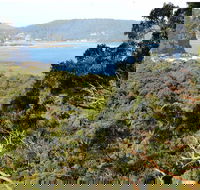Patonga to Pearl Beach Walking Track - Palm Beach Accommodation