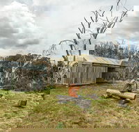 Patons Hut walking track