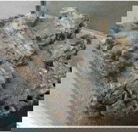 Pioneer Valley Museum - Palm Beach Accommodation