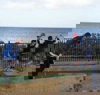 Port Vincent Putt Putt - Palm Beach Accommodation