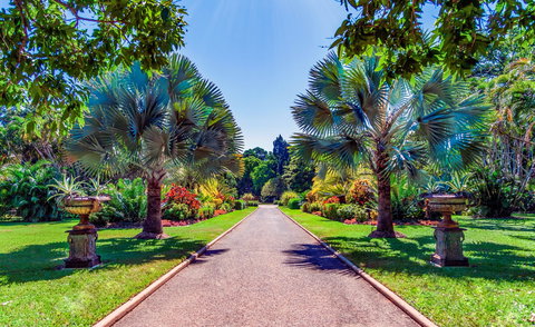 Queens Gardens - Palm Beach Accommodation 1