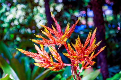 Queens Gardens - Palm Beach Accommodation 2