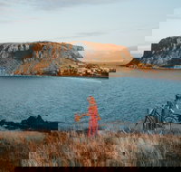 The Nut - Palm Beach Accommodation