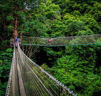 Thunderbird Park  - Tamborine Mountain Gold Coast Region - Palm Beach Accommodation