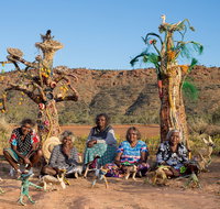Tjanpi Desert Weavers - Palm Beach Accommodation