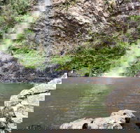 Twin Falls Circuit Springbrook National Park - Palm Beach Accommodation