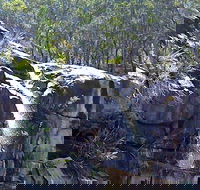 Ugly Corner Falls Walking Track - Palm Beach Accommodation