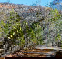 Weddin Gap to Black Spring Loop Trail - Palm Beach Accommodation