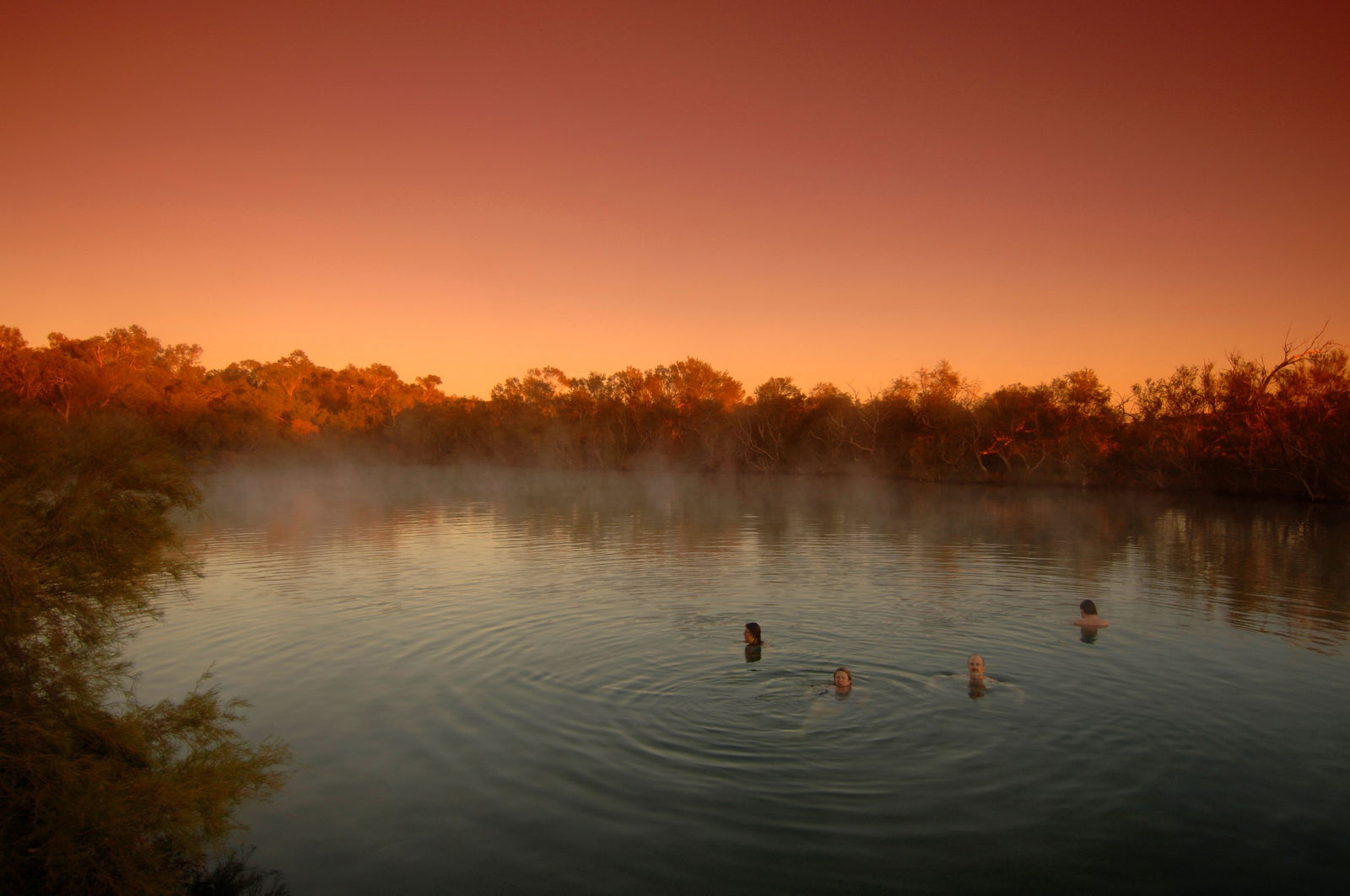 Oodnadatta SA Palm Beach Accommodation