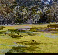 Wombeyan picnic area - Palm Beach Accommodation