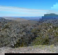 Woomargama National Park - Palm Beach Accommodation