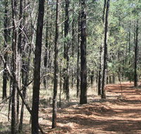 Yana-y Warruwi Walking Track - Palm Beach Accommodation