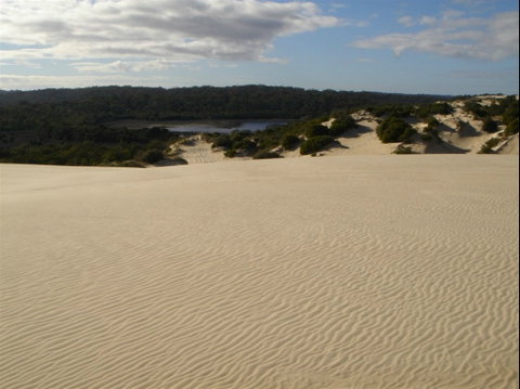 Yeagerup Sand Dunes - Palm Beach Accommodation 0
