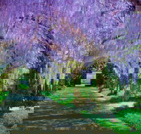 Alowyn Gardens and Nursery - Palm Beach Accommodation