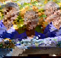 Bella Lavender Estate - Palm Beach Accommodation