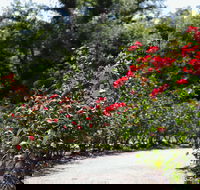 Benalla Botanical Gardens - Palm Beach Accommodation
