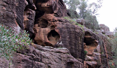 Bertha's Gully Walking Track - Palm Beach Accommodation 0