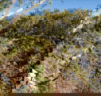 Boonoo Boonoo Falls picnic area - Palm Beach Accommodation