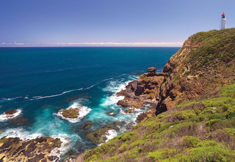 Bushrangers Bay Walking Track - Palm Beach Accommodation 0