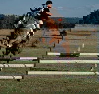 Camden Bicentennial Equestrian Park - Palm Beach Accommodation
