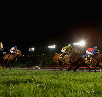 Canterbury Park Racecourse - Palm Beach Accommodation