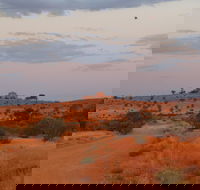 Castle Rock walk and Lookout - Palm Beach Accommodation