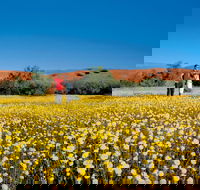Coorow Farm Wildflower Trail