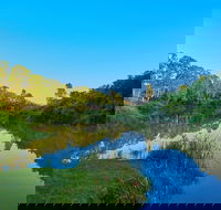 Cribb Park - Palm Beach Accommodation