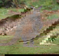 Donnelly River - Palm Beach Accommodation