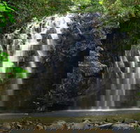Ellinjaa Falls - Palm Beach Accommodation