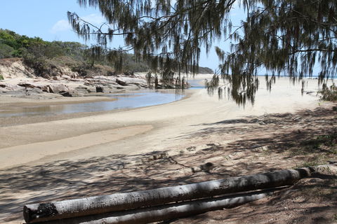 Eurimbula National Park - Palm Beach Accommodation 2