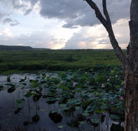 Fogg Dam Conservation Reserve - Palm Beach Accommodation