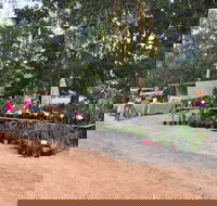 Fred's Pass Rural Market - Palm Beach Accommodation