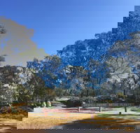 Grenfell Endemic Garden - Palm Beach Accommodation