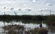 Gwydir Wetlands Moree - thumb 0