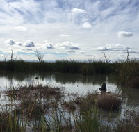 Gwydir Wetlands Moree - Palm Beach Accommodation