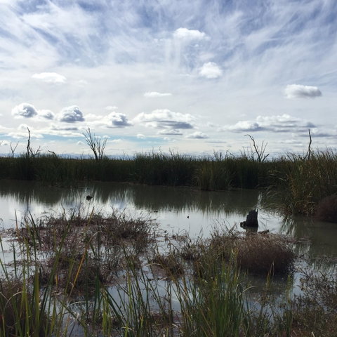Gwydir Wetlands Moree - Palm Beach Accommodation 0